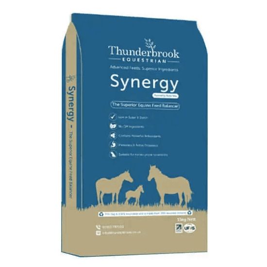 Synergy (Thunderbrook)