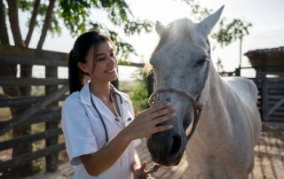 Tetanus in Horses