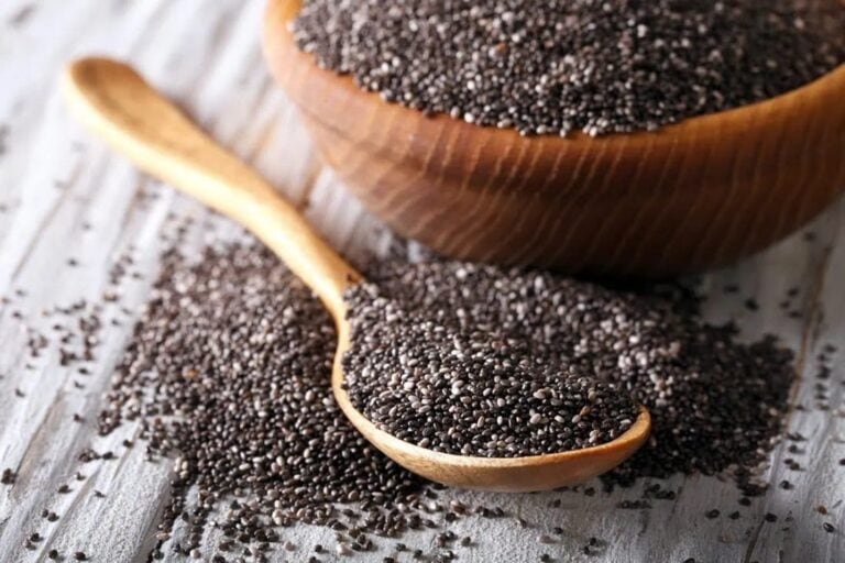 are-chia-seeds-safe-for-horses