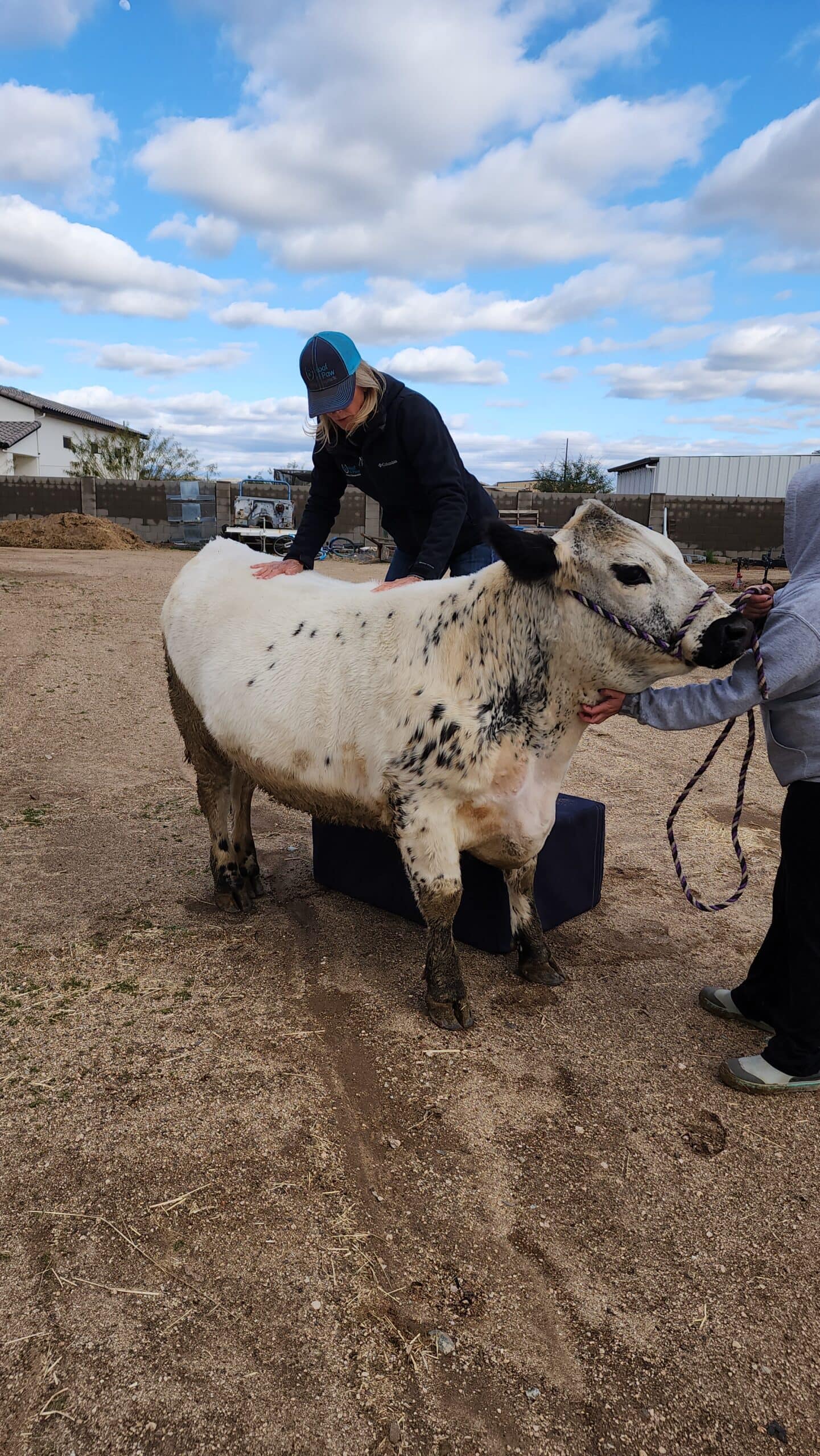 Kimberly Larsen MS, DC, RD - Equine Chiropractor