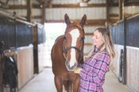Air Quality in Horse Barns: Respiratory Health, Dust & Ventilation