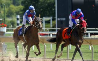 Arrhythmias in Competitive Sport Horses