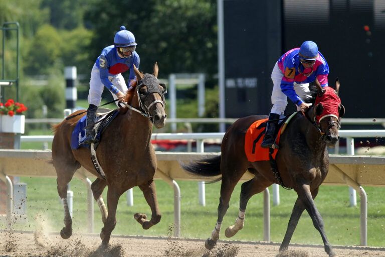 Arrhythmias in Competitive Sport Horses