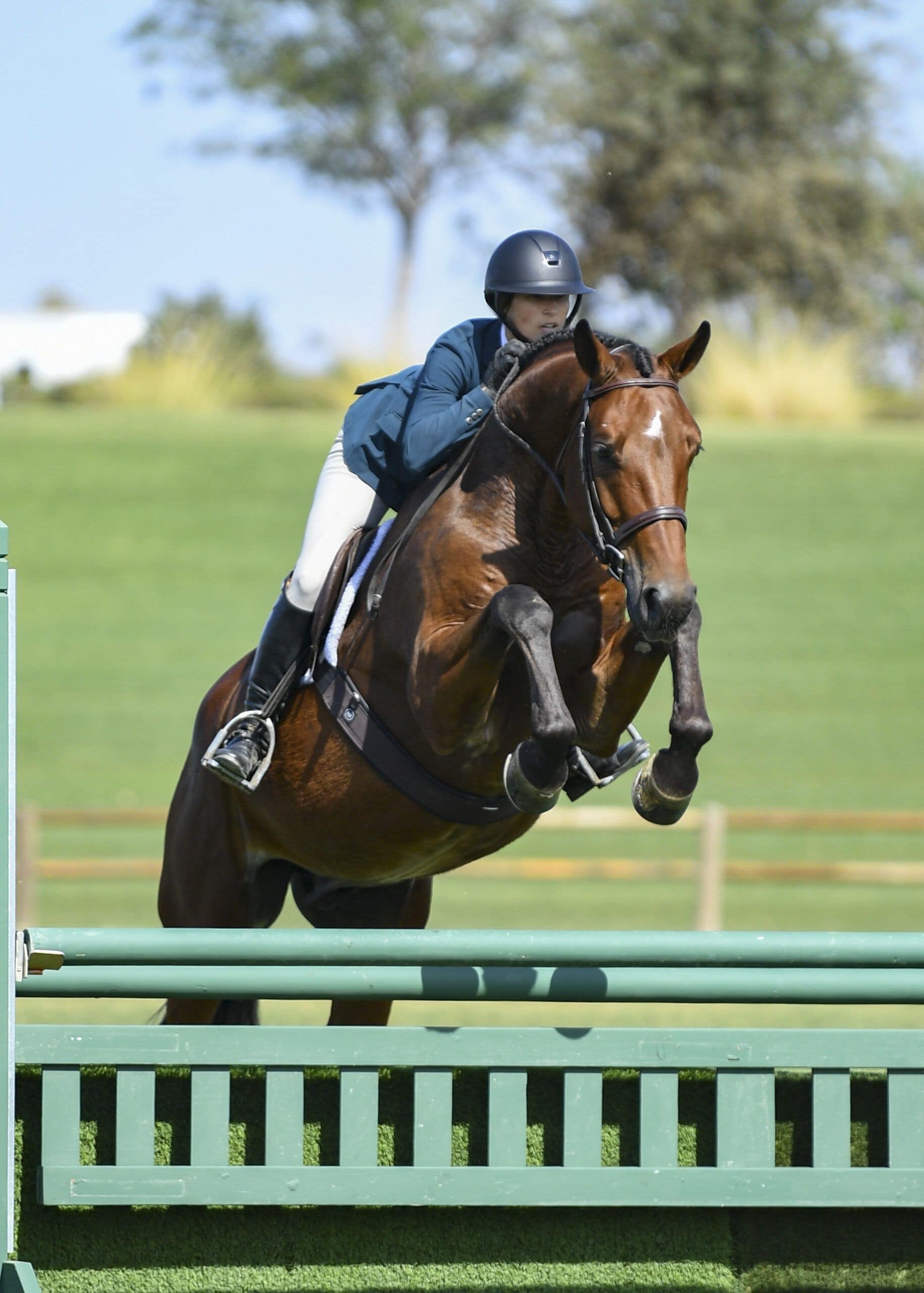 Matty Ringel - Coaches & Trainers