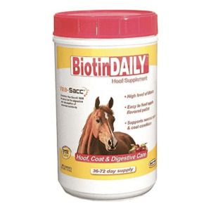 Biotin Daily (Durvet)