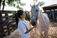 Enteroliths in Horses: Causes, Symptoms & Prevention