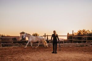 17 Benefits of Exercise in Horses for Muscles, Stress Levels, Gut Health & More