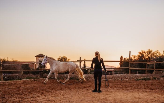 17 Benefits of Exercise in Horses for Muscles, Stress Levels, Gut Health & More