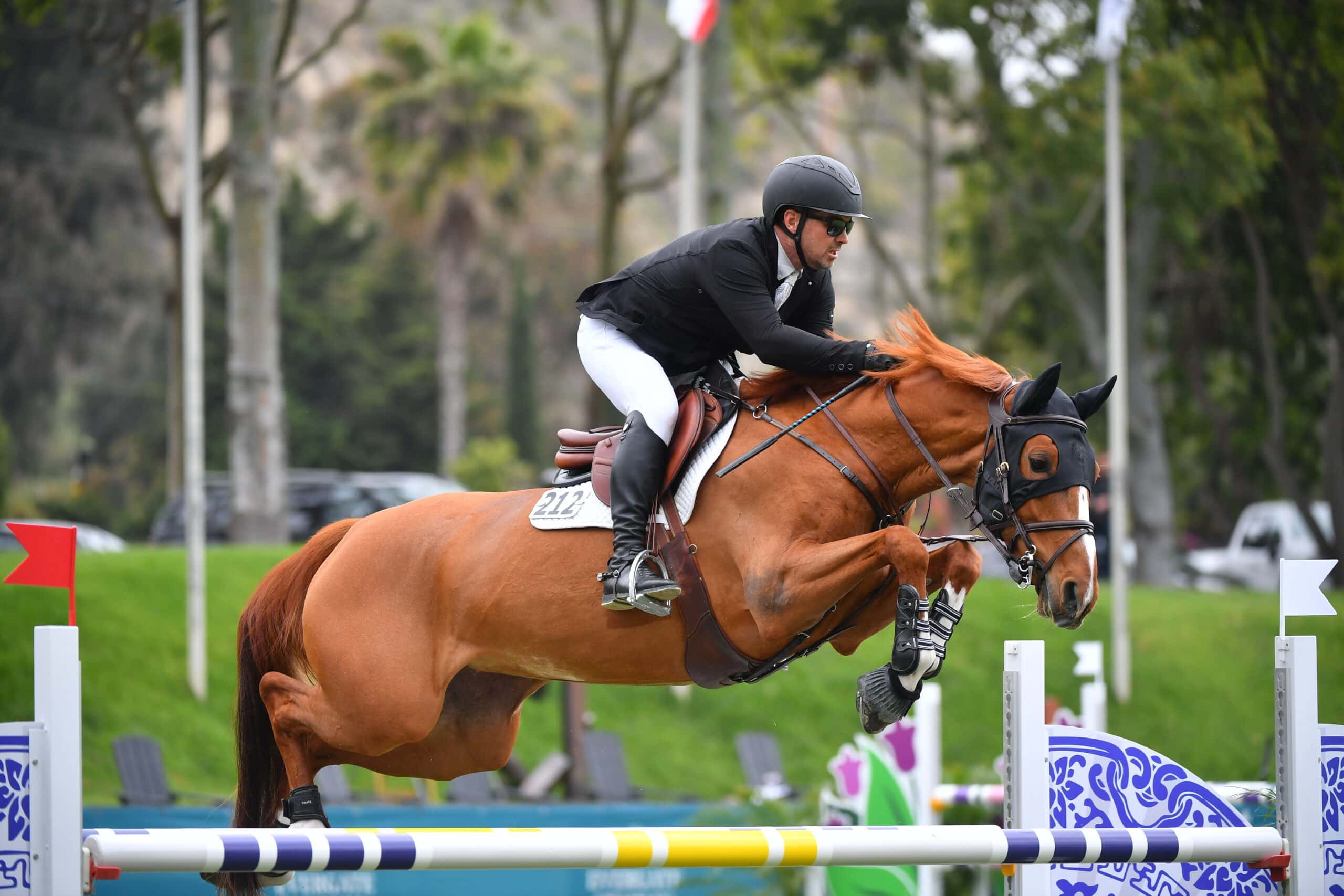 McArdle Equestrian - Boarding Stable