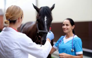 Eastern Equine Encephalitis