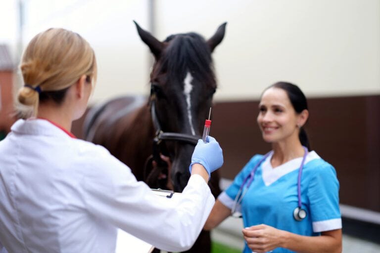 Eastern Equine Encephalitis