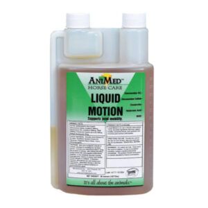 Liquid Motion (AniMed)