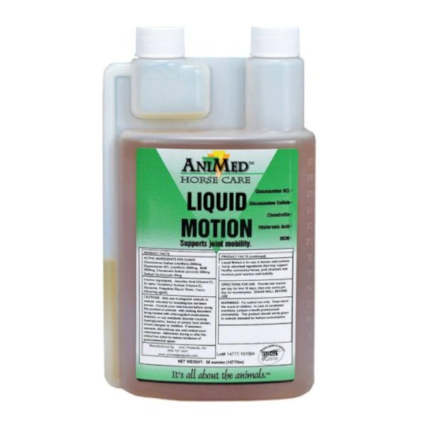 Liquid Motion (AniMed)