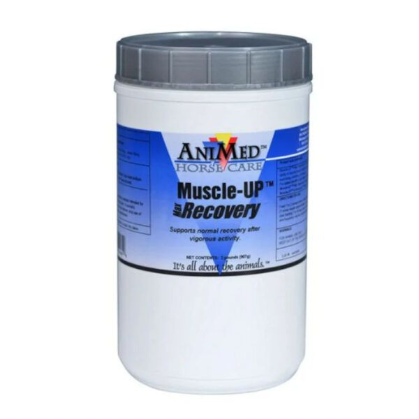 Muscle-UP Max Recovery (AniMed)