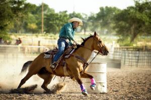 Whey Protein for Horses: Benefits & Feeding Guide
