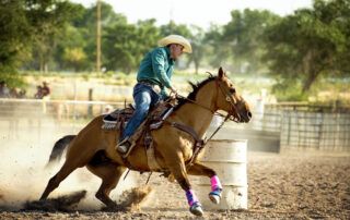 Whey Protein for Horses