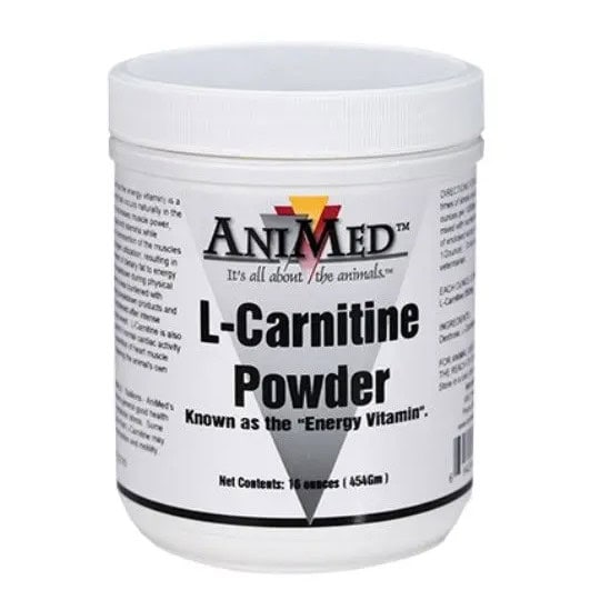 L-Carnitine Powder (AniMed)