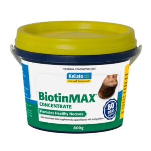 BiotinMAX Concentrate (Kelato)