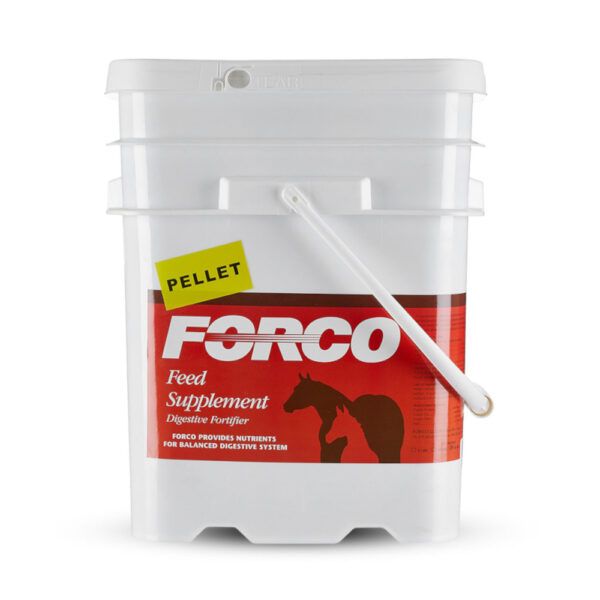 Digestive Fortifier (FORCO)
