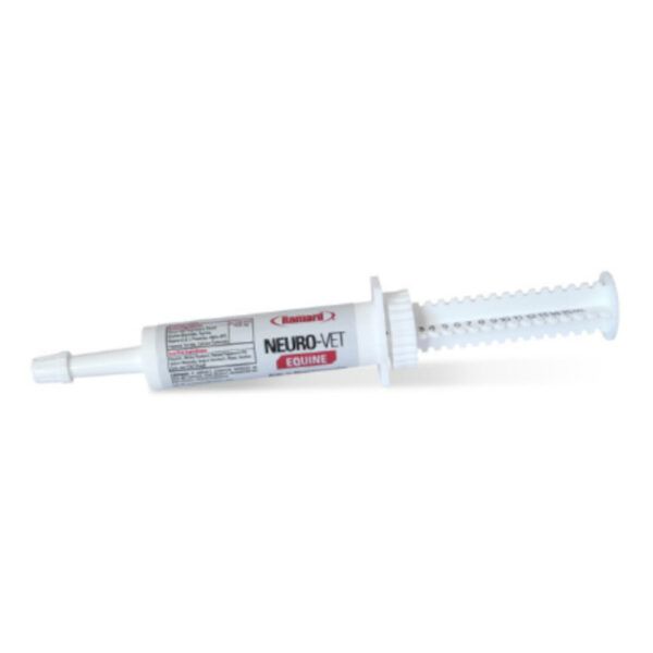 Neuro-Vet Syringe (Ramard)