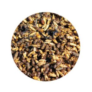 Photo Finish (Brooks Feeds)