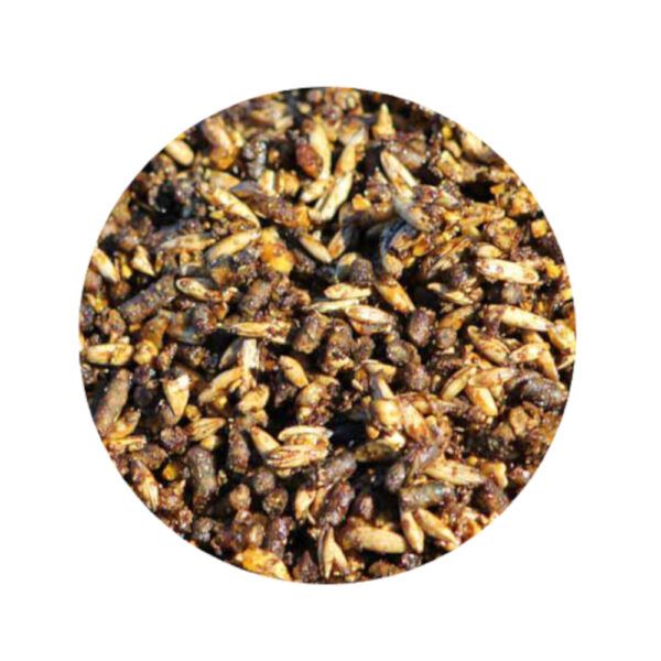 Photo Finish (Brooks Feeds)