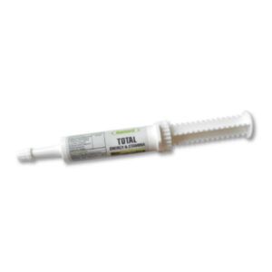 Total Energy & Stamina Syringe (Ramard)