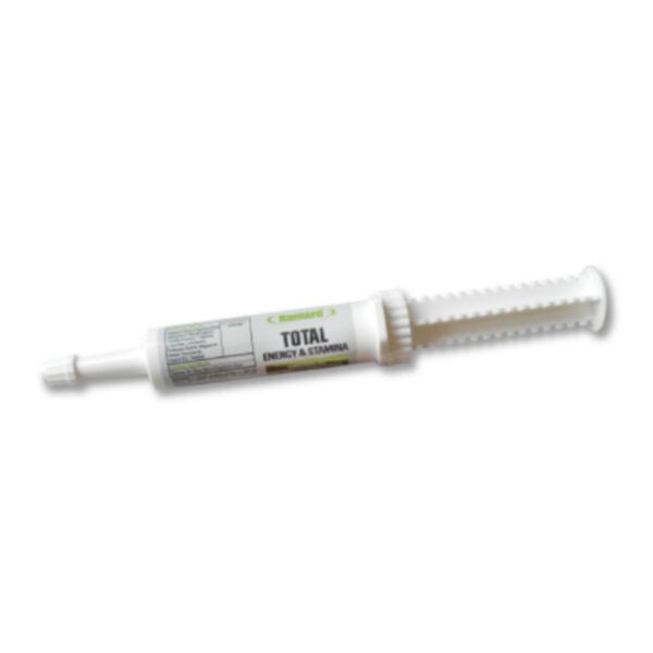 Total Energy & Stamina Syringe (Ramard)