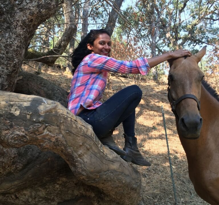 Bodhi Horse Practice