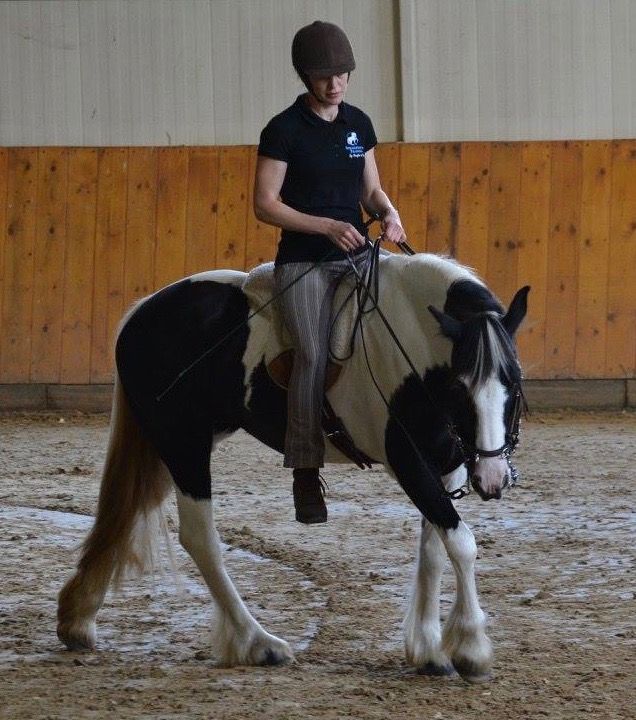 Dora Hebrock - Farrier