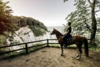 Top 9 Antioxidant Supplements for Horses [Research Review]