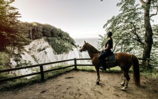 Antioxidant Supplements for Horses