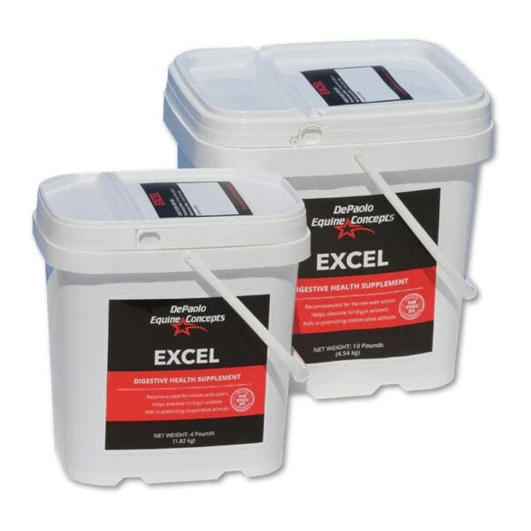 Excel (DePaolo Equine Concepts)