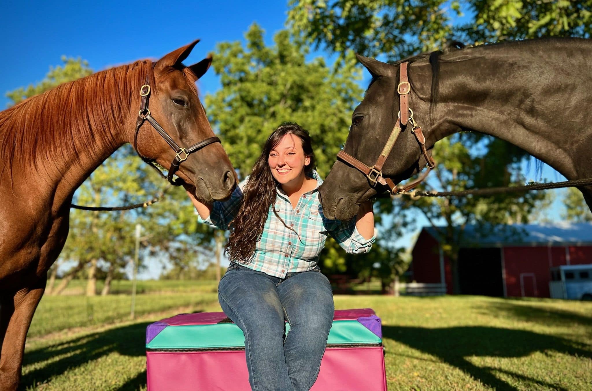 Dr. Erene Mihalas - Equine Chiropractor