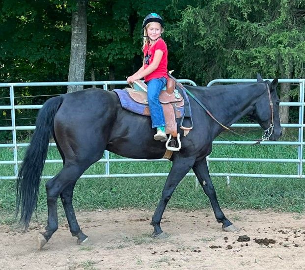 Mikie Ballard - Coaches & Trainers