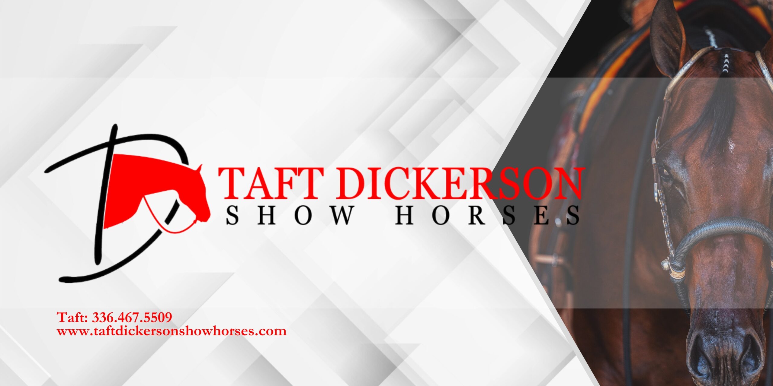 Taft Dickerson Show Horses - Boarding Stable