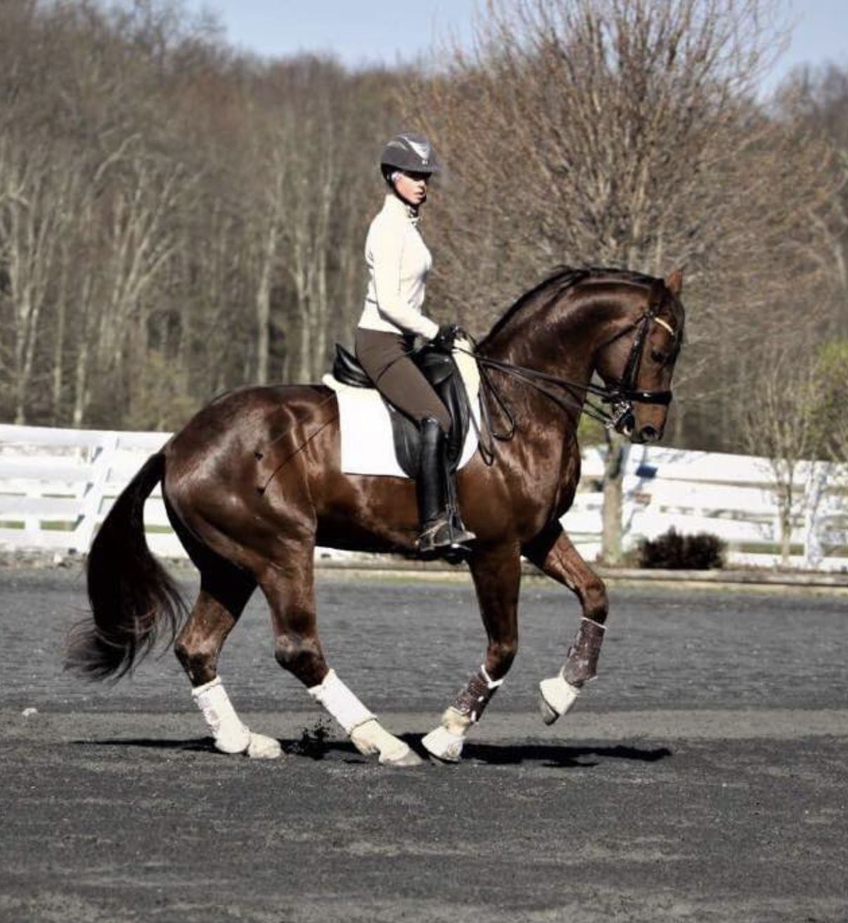 Jessica Starck - Coaches & Trainers