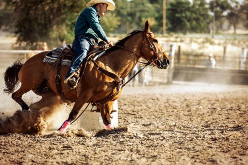 Selenium and Vitamin E for Horses