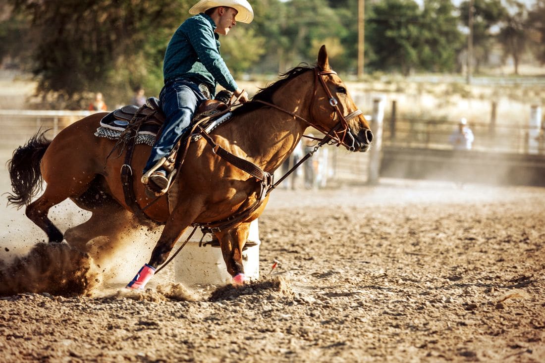 Selenium and Vitamin E for Horses: Antioxidant Nutrients