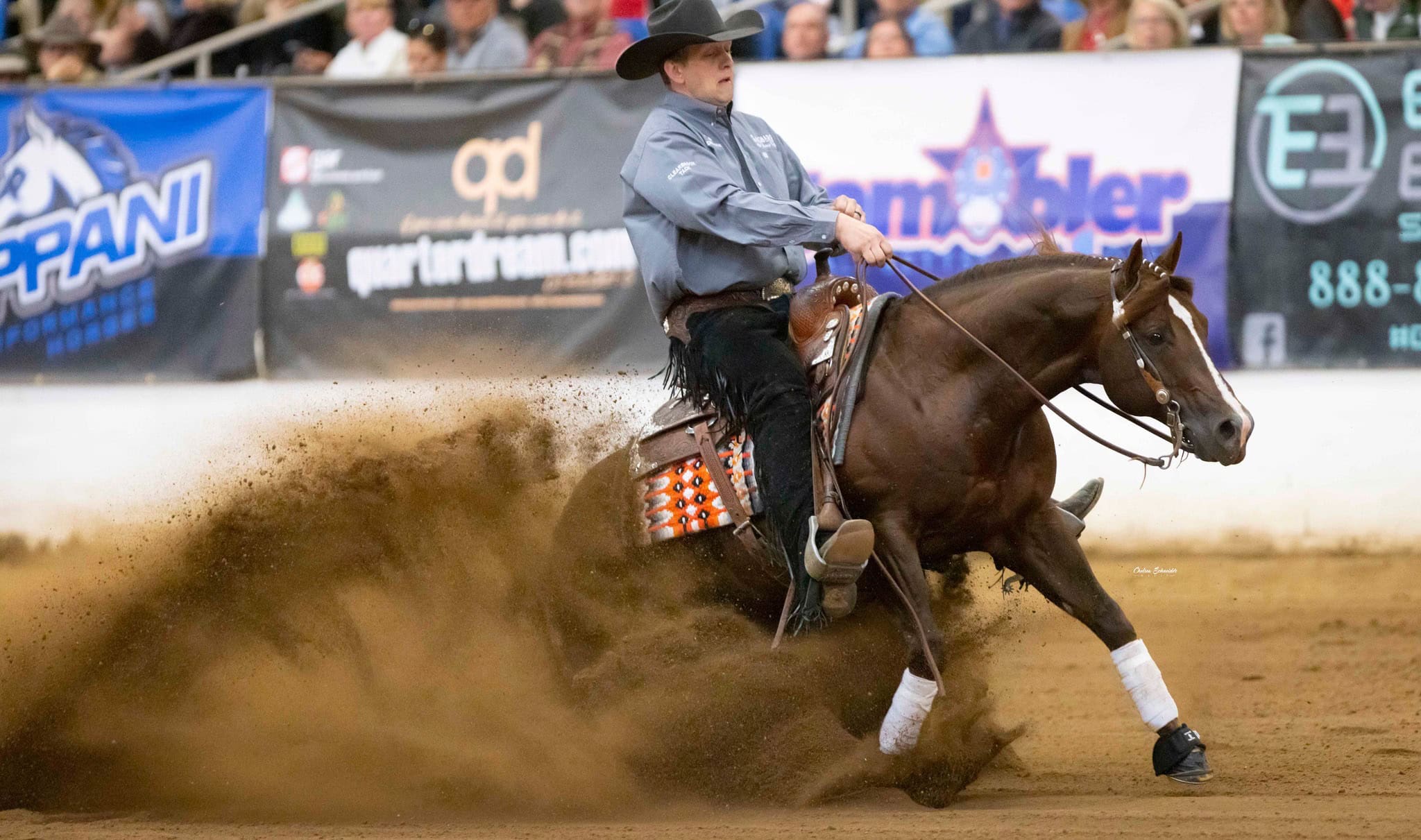 Gates Performance Horses - Boarding Stable