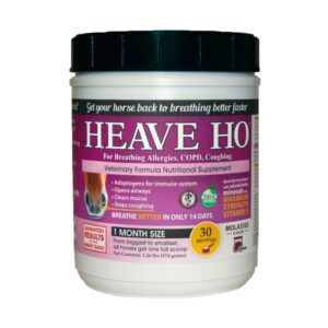 Heave Ho (Equine Medical & Surgery Associates)