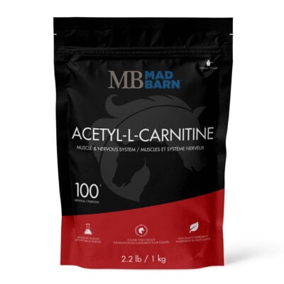 Acetyl-L-Carnitine Equine Supplement - Mad Barn