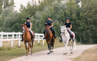 Energy Requirements for Horses