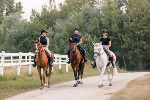 Energy Requirements for Horses