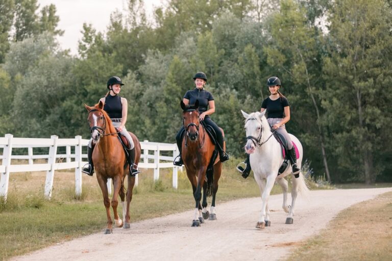 Energy Requirements for Horses