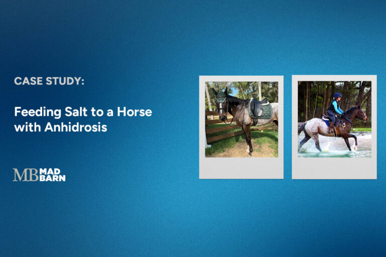Feeding Salt to a Horse with Anhidrosis