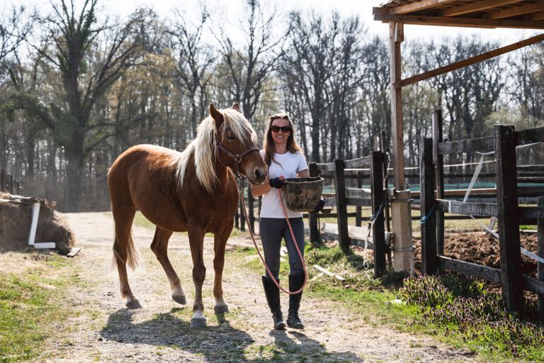 Feeding Beet Pulp to Horses