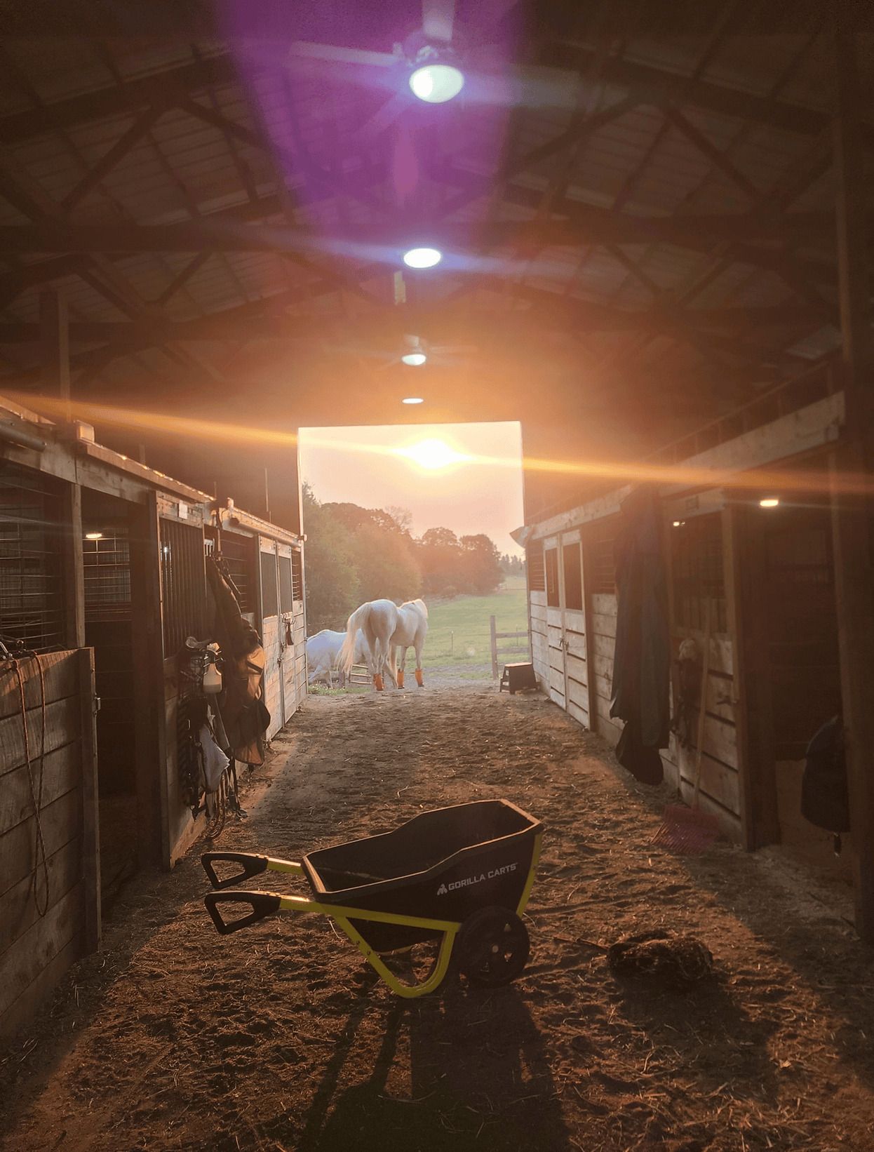 Krista Rosky Ponting - Boarding Stable