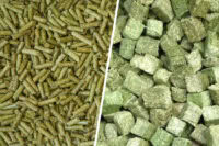 Forage Cubes and Pellets for Horses – [How and When to Feed]