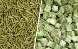 Forage Cubes and Pellets for Horses